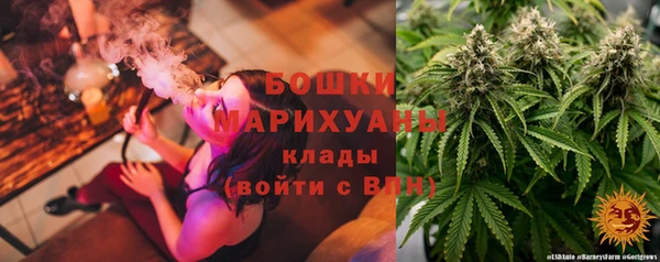альфа пвп Краснослободск